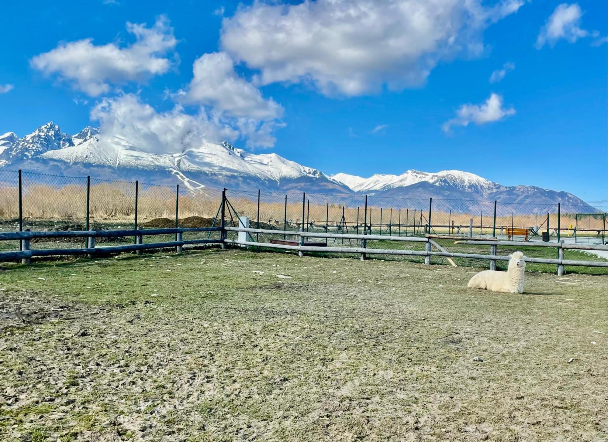 Apartment Jenny- Stunning View Of High Tatras Велка Ломница Екстериор снимка